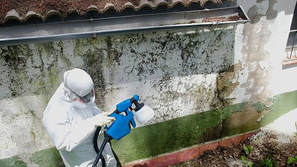 Top rated local Crawl Space Mold Removal specialists in Milliken, CO